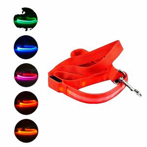 CORREA CON LUZ PARA MASCOTAS