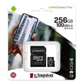 MEMORIA MICRO SD 256GB